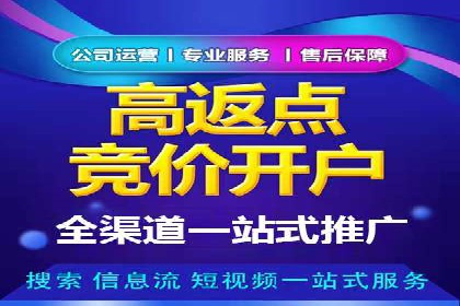 竞价广告赚钱：百度平台成功案例分析